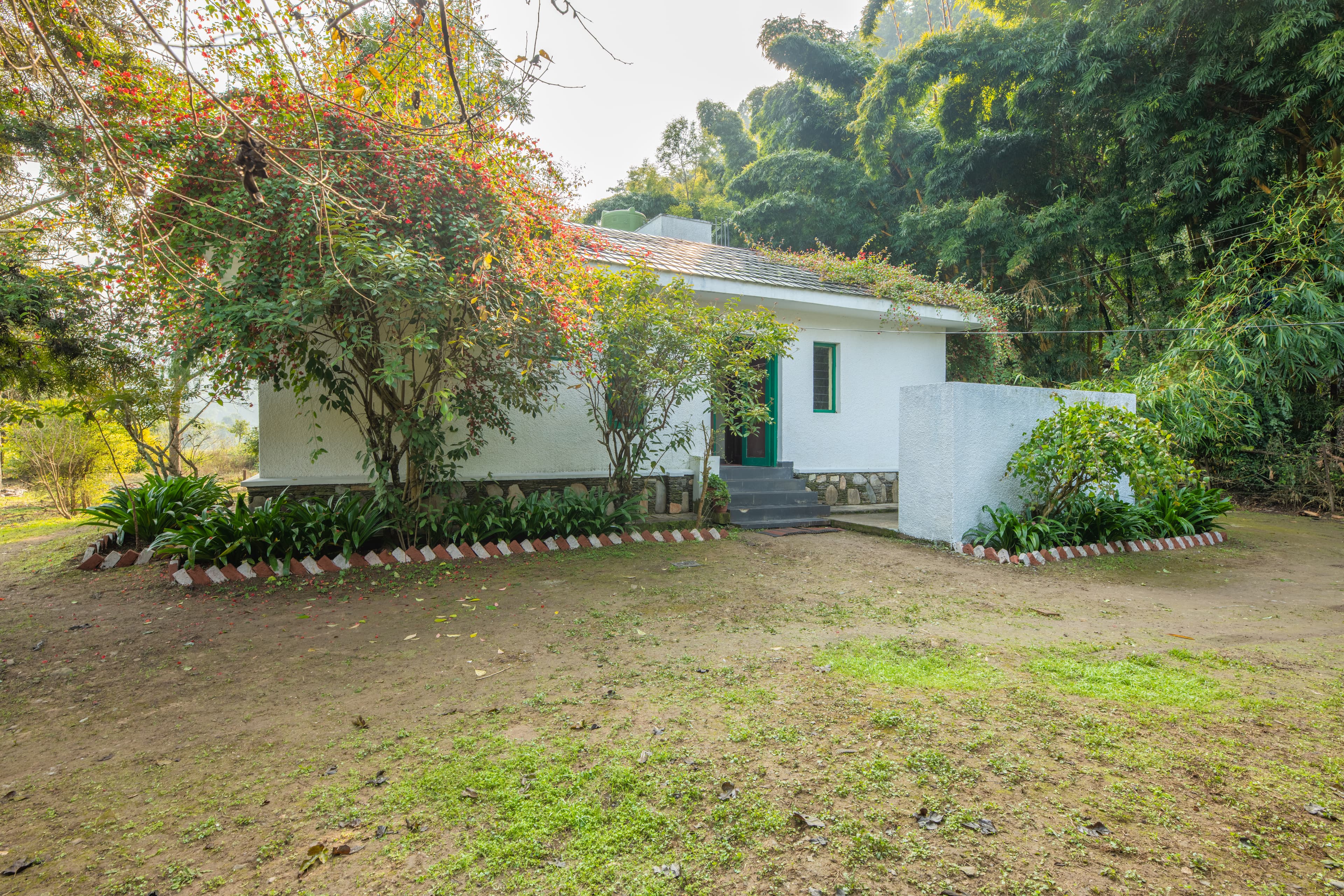 The Cottage