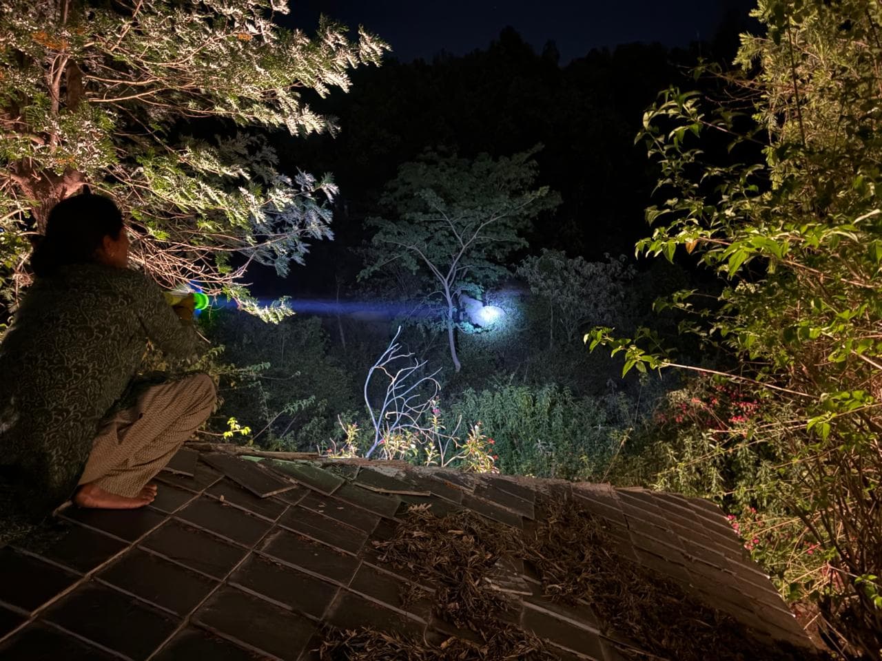 Spotting Wild Elephants from Rooftop Terrace at Night
