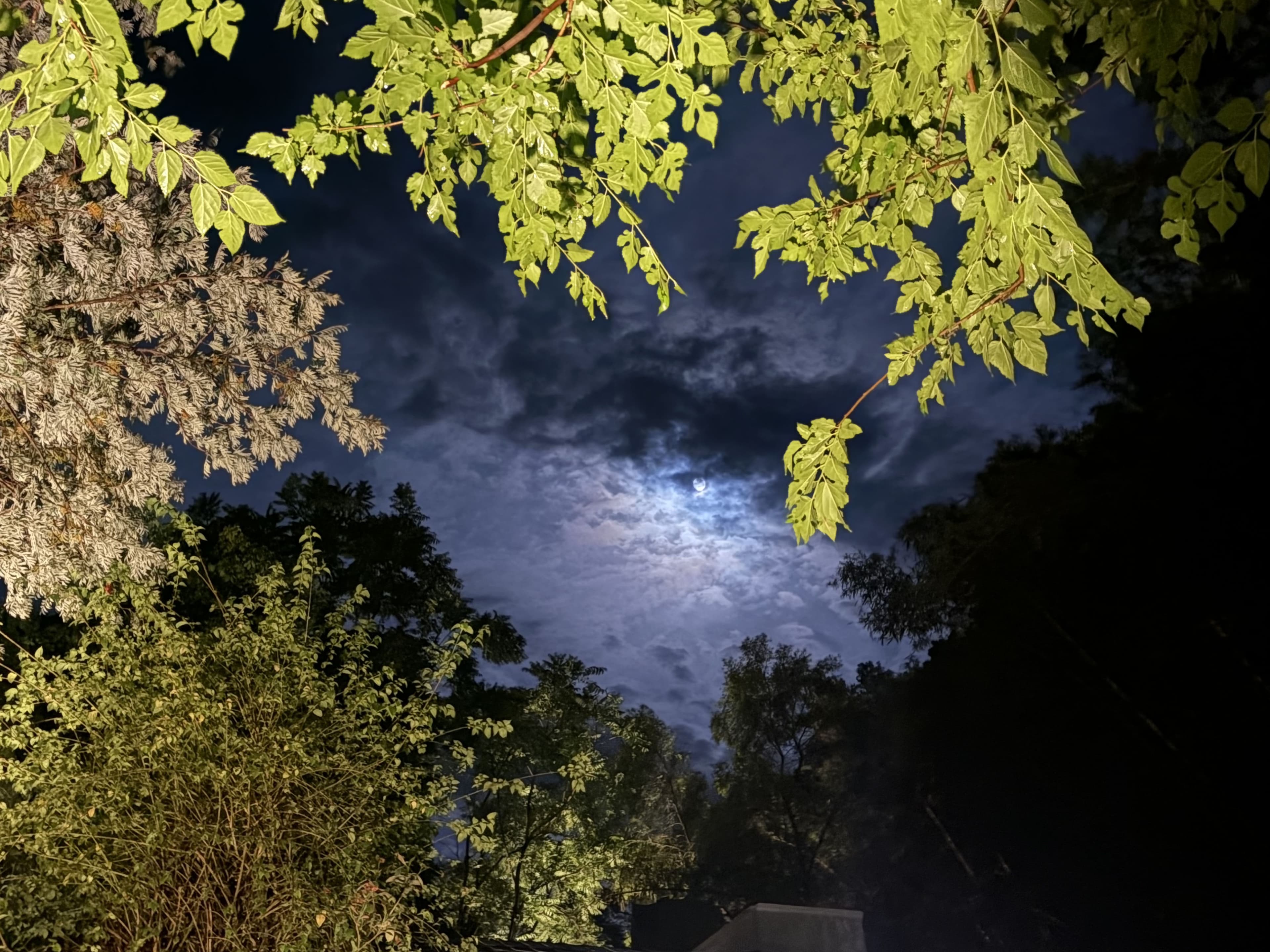 Stargazing & Bonfires - photo 2