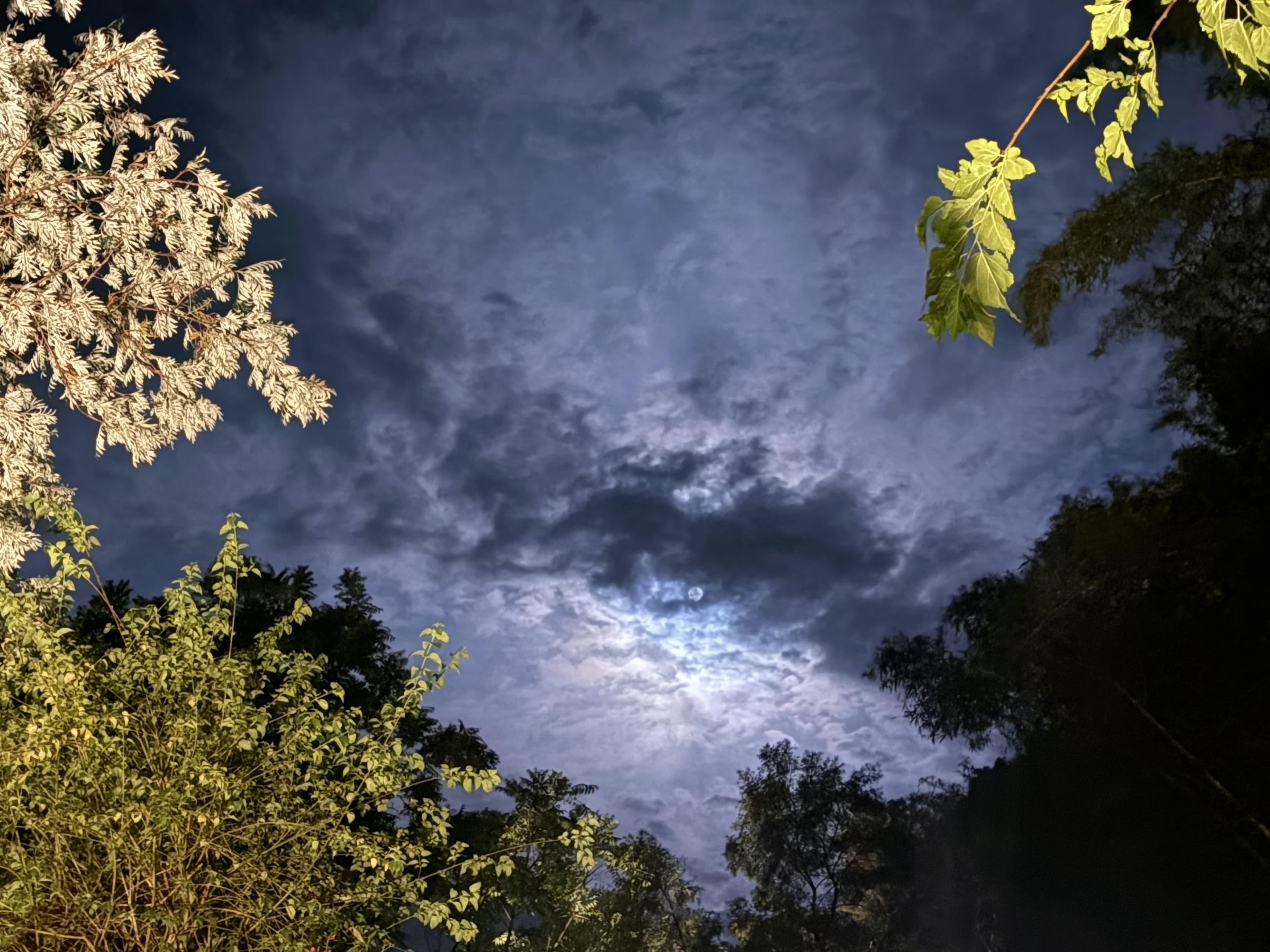 Stargazing & Bonfires - photo 3