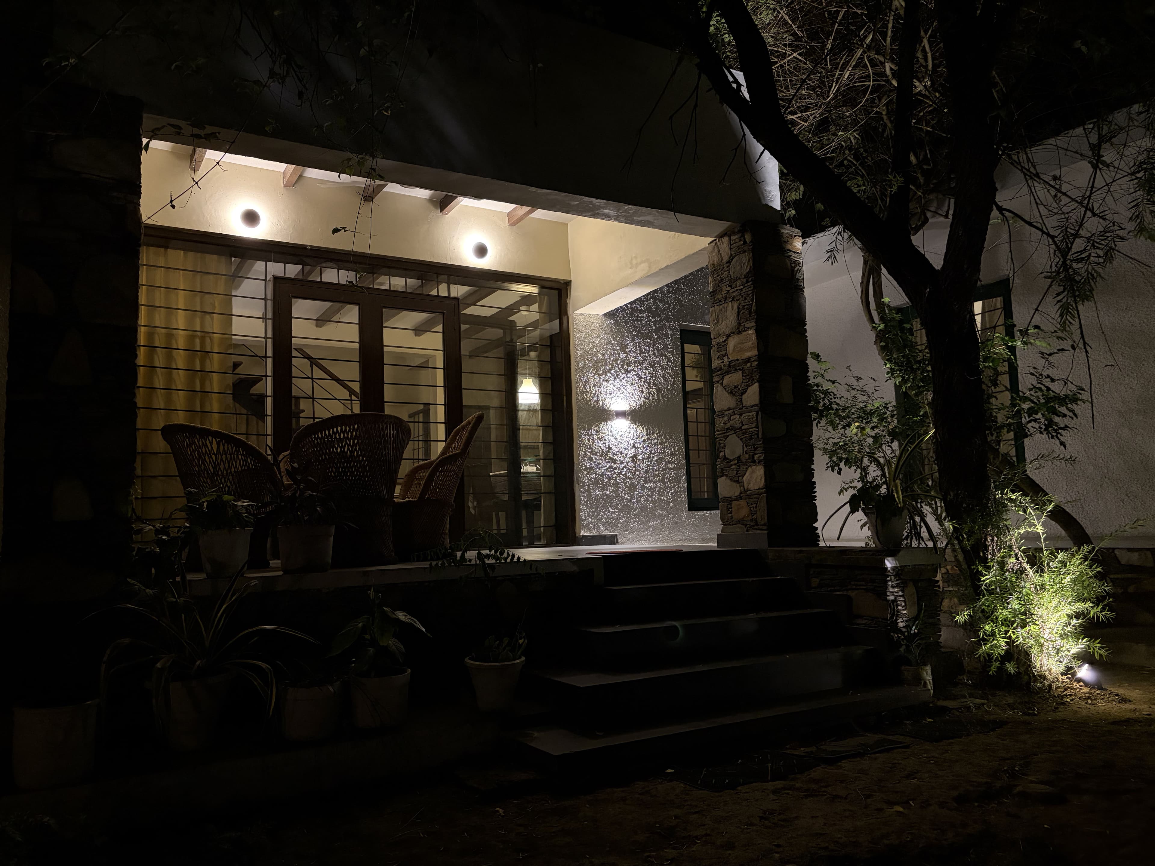 Magpie At Night - photo 2