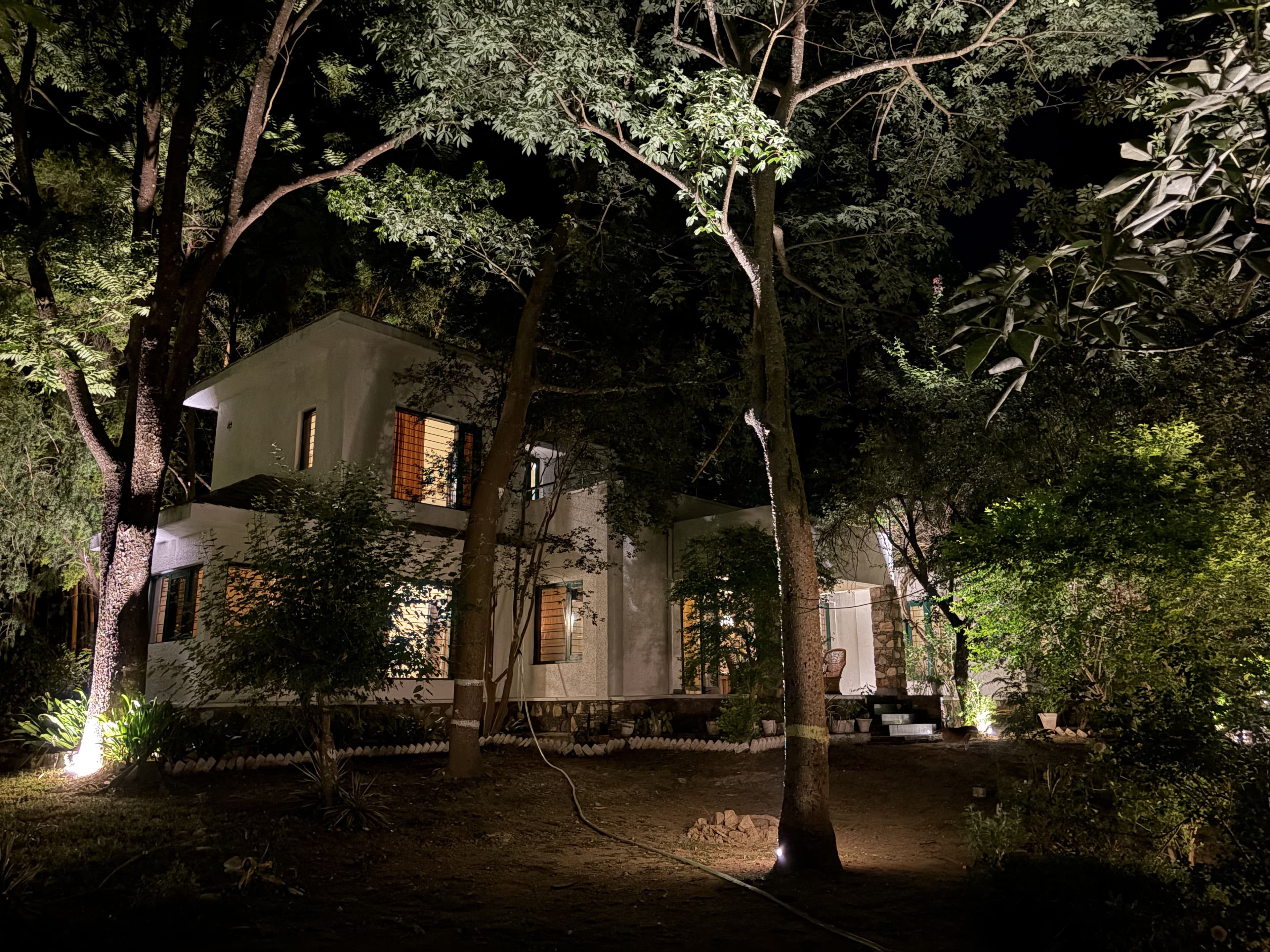 Magpie At Night - photo 2