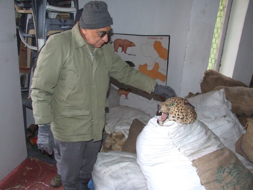 Wildlife enforcement